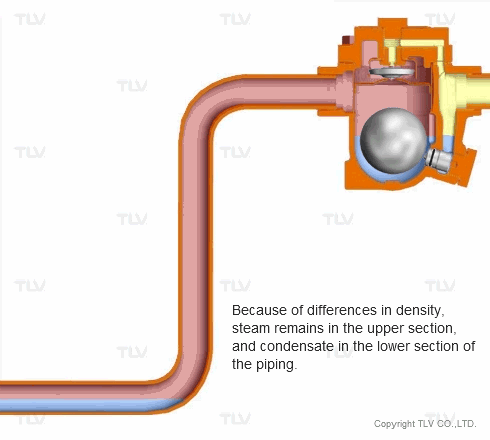 Hiện Tượng Khóa Hơi (Steam Locking) 6 Đoạn Ống Đứng Gây Khóa Hơi