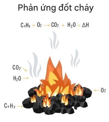 phản ứng đốt cháy